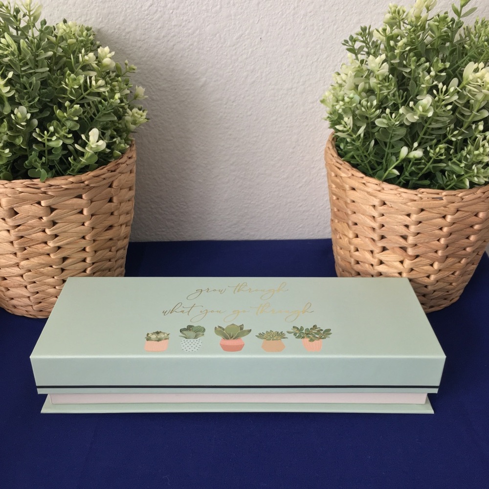 Punch Studio Succulent Plant Themed Box